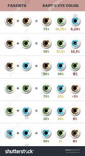 Baby Eye Color Predictor Likelihood Eyes Stock Illustration