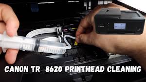 canon tr 8620 printhead cleaning