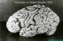 what-happened-to-albert-einsteins-brain