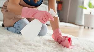 organic carpet cleaning service