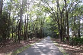 Image result for TRAIL
