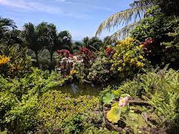 Palm Tree Gardens Botanical Garden
