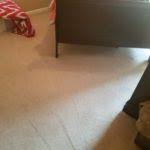 vericlean carpet cleaning before and
