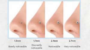 nose piercing types and nose ring guide