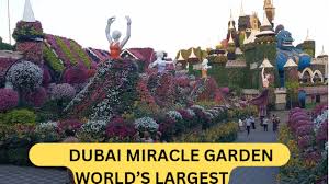 dubai miracle garden world s largest