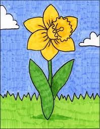 how to draw a daffodil art projects