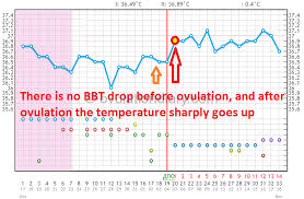 Determining Ovulation By Basal Body Temperature Works