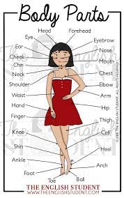 Learn useful vocabulary related to the face and how to describe different parts of the face with examples and esl printable Human Body Parts Names In English Myenglishteacher Eu Blog
