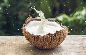 coconut milk for the hair how to