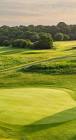 Farleigh Golf Club - Surrey - Farleigh