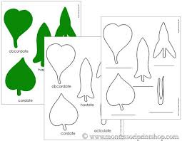Botany Cabinet Control Charts Printable Montessori Botany