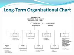 17 Eye Catching Organizational Chart For A Nursing Home