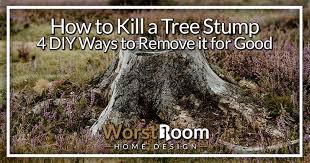 a tree stump 4 diy ways to