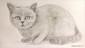 Cách vẽ mèo đơn giản, dễ thương dành cho người học vẽ, các bé