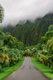 the 5 best parks to visit in hawaii