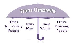 These gender identities can be binary or nonbinary. Lgbt Foundation Non Binary Inclusion