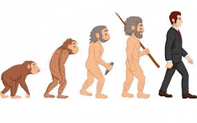Si è evoluto dall'heidelbergensis, fino a divenire una specie diversa. Evoluzione Della Specie L Orecchio Di Neanderthal Aures Bologna