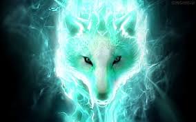 fire and ice wolf hd wallpapers pxfuel
