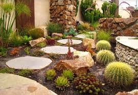 Cactus Garden Design Succulent Landscaping