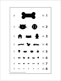 Dog Eye Chart Time To Check Your Dogs Eye Sight Pets