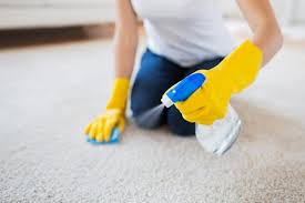 7 best carpet cleaners for cat urine in
