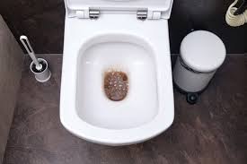 Recurring Toilet Clog