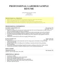 9 10 Profile On A Resume Example Samples