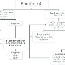 Logistic Regression Model Evaluating The Effect Of Pregnancy