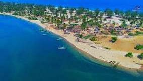 Image result for Overview of mozambique