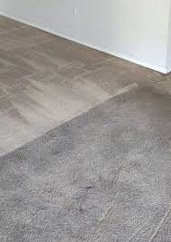 1 for carpet stain spot removal in