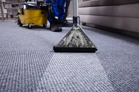 premier carpet cleaning in nanaimo duncan