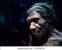 Neanderthal Images, Stock Photos & Vectors | Shutterstock