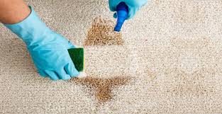 Las alfombras persas han sido desde siempre las alfombras más valoradas. Vea Como Limpiar Alfombra En Casa Sin Mucho Esfuerzo Diy