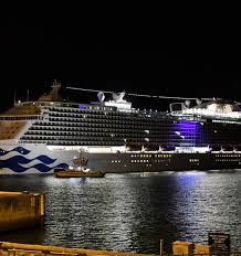 Majestic Princess Cruise Ship With 800