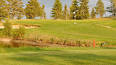 Spring Creek Golf Course in Bon Accord, Alberta, Canada | Golf Advisor