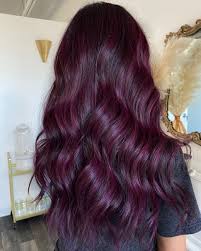 25+ beautiful purple blonde hair ideas on pinterest. 30 Latest Plum Hair Color Ideas For 2021 Hair Adviser