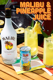 Mix up a batch of fruity jungle juice with malibu rum. Pin On Food