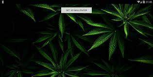 Marijuana Cannabis Weed - Wallpapers ...