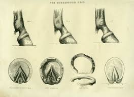 Goodenough Horse Shoe Mfg. Co. had been supplying the U.S. Army with horseshoes and horseshoe nails since at least 1874.
