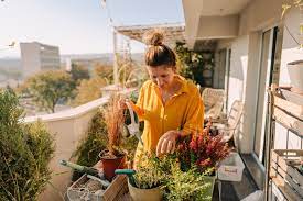 Balcony Gardening Ideas