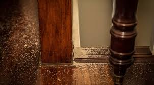 7 signs you have termite damage