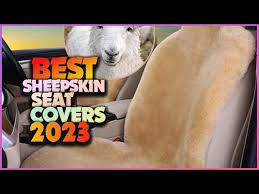 Best Sheepskin Seat Covers