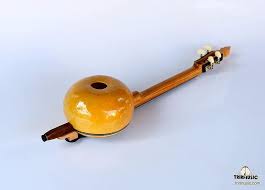 Kabak kemane, türk halk müziği'ndeki telli, yaylı ve deri kapaklı sazların tek örneğidir. 5 Off Profession Al Kabak Kemane Kemence Hkk 166