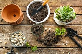 How To Make Your Own Succulent Soil At