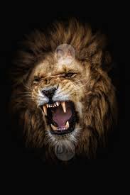 lion roaring images printable