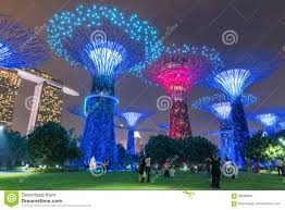 Singapore October 24 2016 Colorful Blooming Of Lights