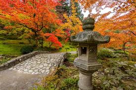 6 Best Japanese Gardens In Seattle