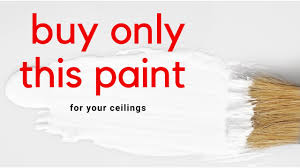 best white paint for ceiling shorts
