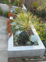 Modern Succulent Garden Garden San