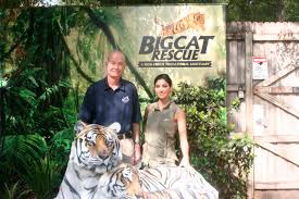 We find homes for pets that other animal shelters have given up on. Why Jeff Kremer From Big Cat Rescue Is Amazing Gabbywild